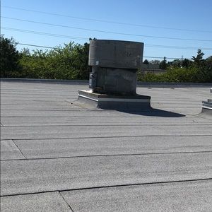 Meet your Posher, Tomm